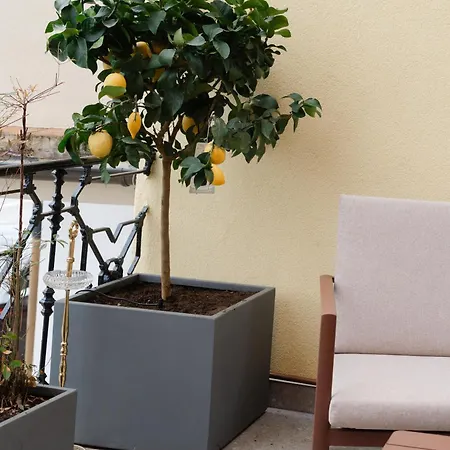 Apartment Belvedere237 Lakeview Terrace Luxury Ghiffa